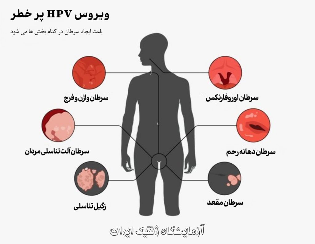 high risk hpv