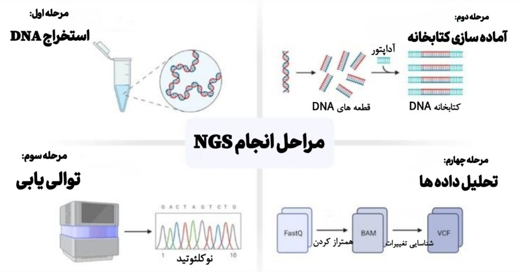 مراحل انجام NGS